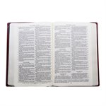 La Sainte Bible - Version Darby (Semi-rigide, Grenat, Format de poche)