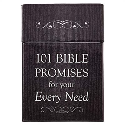 101 Bible Promises for Your Every Need, A Box of Blessings