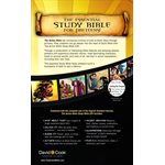 The Action Bible Study Bible ESV (Gray)