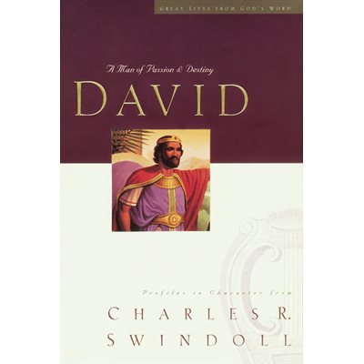 David A Man Of Passion And Destiny (Paperback, Large Print)