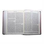 NRSV Large Print Bible - Catholic Edition