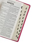 KJV Gift Edition Bible--imitation leather, pink